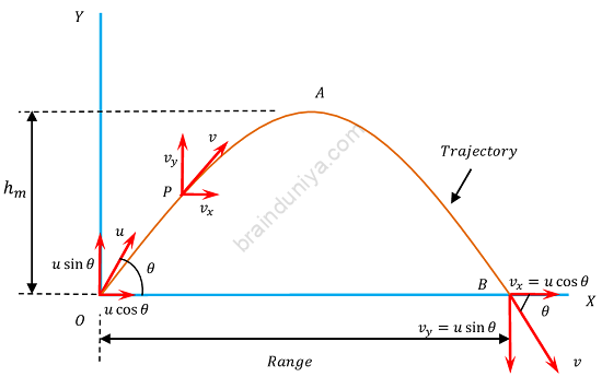 Projectile Motion | BrainDuniya