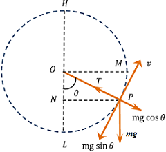 MOTION IN VERTICAL CIRCLE