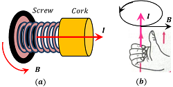 Magnetic Effect of Current - BrainDuniya