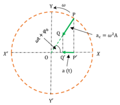 Simple Harmonic Motion - BrainDuniya