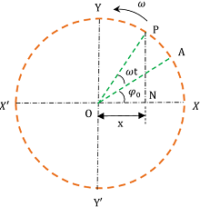 Image result for Simple Harmonic Motion Equation with Theta Double Dot and Theta