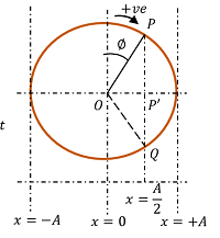 EXAMPLE -2 OF PHASOR DIAGRAM