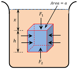 BUOYANCY & ARCHEMEDES' PRINCIPLE