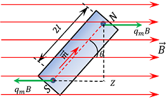 MAGNETIC DIPOLE MOMENT